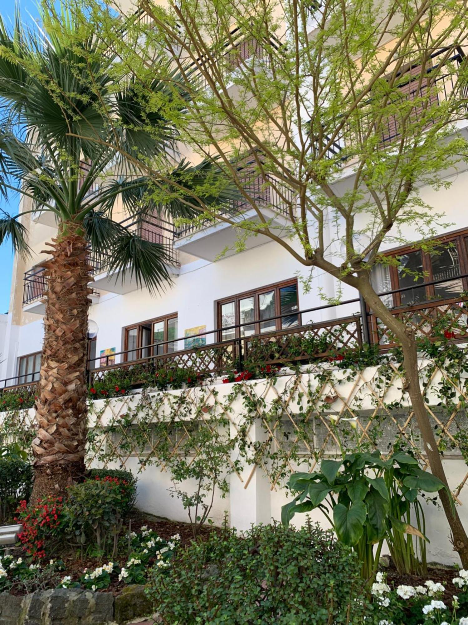 Conte Hotel 3*
